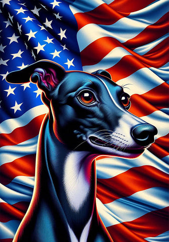 Italian Greyhound Black -  Best of Breed DCR Patriotic III   Outdoor House and Garden Flag