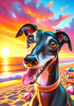 Italian Greyhound Black -  Best of Breed DCR Summer Sunset Outdoor House and Garden Flag