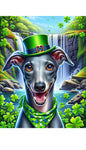 Italian Greyhound Blue -  Best of Breed DCR Saint Patricks Day Day Outdoor House and Garden Flag