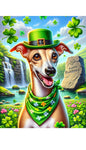 Italian Greyhound Fawn -  Best of Breed DCR Saint Patricks Day Day Outdoor House and Garden Flag