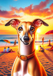 Italian Greyhound Fawn -  Best of Breed DCR Summer Sunset Outdoor House and Garden Flag