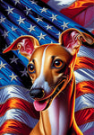 Italian Greyhound Fawn -  Best of Breed DCR Patriotic III   Outdoor House and Garden Flag
