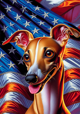 Italian Greyhound Fawn -  Best of Breed DCR Patriotic III   Outdoor House and Garden Flag
