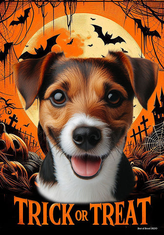 Jack Russell Brown/Black -  Best of Breed  Halloween Outdoor House and Garden Flag