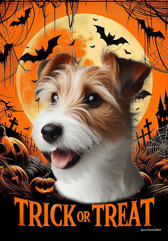 Jack Russell Wirehaired -  Best of Breed  Halloween Outdoor House and Garden Flag