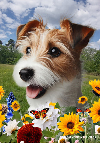 Jack Russell Wirehaired -  Best of Breed  Summer Fields Outdoor House and Garden Flag