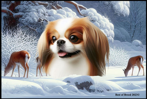 Japanese Chin Red/White - Best of Breed Winter Wonderland Floor Mat Tufted Loop 18" x 27"