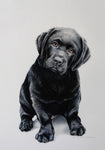Black Labrador Puppy - Joni Monroe Beinborn Portrait House and Garden Flag