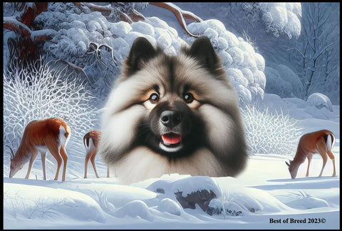 Keeshond - Best of Breed Winter Wonderland Floor Mat Tufted Loop 18" x 27"