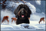 Labradoodle Black - Best of Breed Winter Wonderland Floor Mat Tufted Loop 18" x 27"