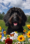 Labradoodle Black - Best of Breed  Summer Fields Outdoor House and Garden Flag