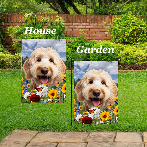 Labradoodle Blonde - Best of Breed  Summer Fields Outdoor House and Garden Flag