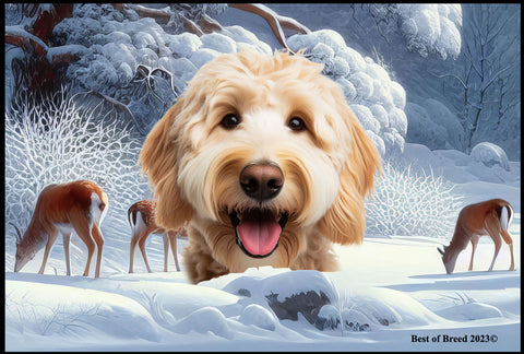 Labradoodle Blonde - Best of Breed Winter Wonderland Floor Mat Tufted Loop 18" x 27"