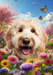 Labradoodle Blonde - Best of Breed  Spring Butterflies Outdoor House and Garden Flag