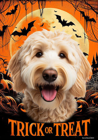 Labradoodle Blonde - Best of Breed  Halloween Outdoor House and Garden Flag