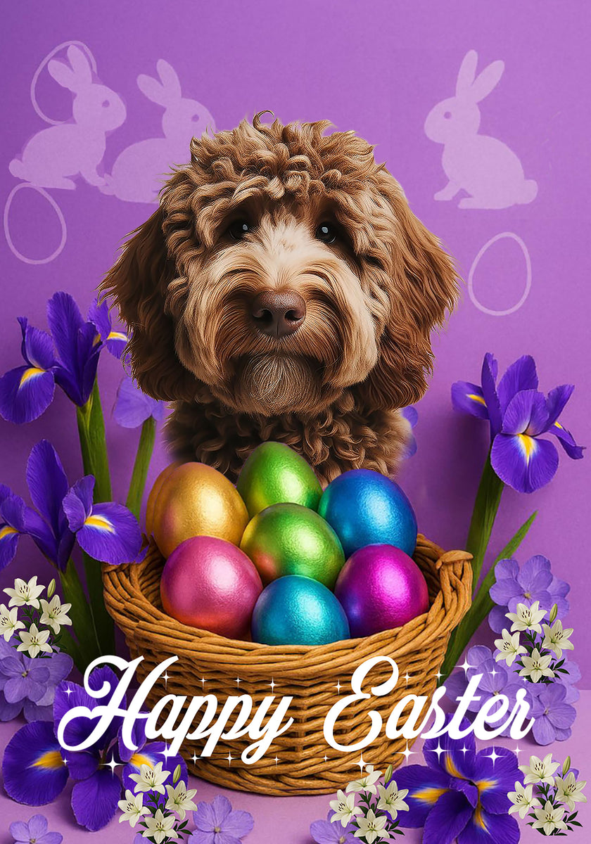 Labradoodle Chocolate - Best of Breed Easter Holiday Outdoor House and