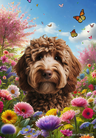 Labradoodle Chocolate - Best of Breed  Spring Butterflies Outdoor House and Garden Flag