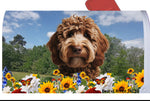 Labradoodle Chocolate - Best of Breed Summer Flowers Mailbox Cover Hi-Grade Vinyl 6" x 19"