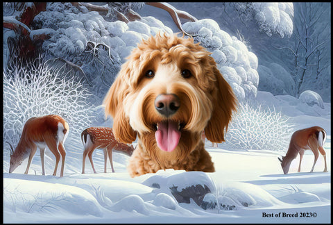 Labradoodle Red - Best of Breed Winter Wonderland Floor Mat Tufted Loop 18" x 27"