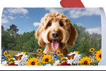 Labradoodle Red - Best of Breed Summer Flowers Mailbox Cover Hi-Grade Vinyl 6" x 19"