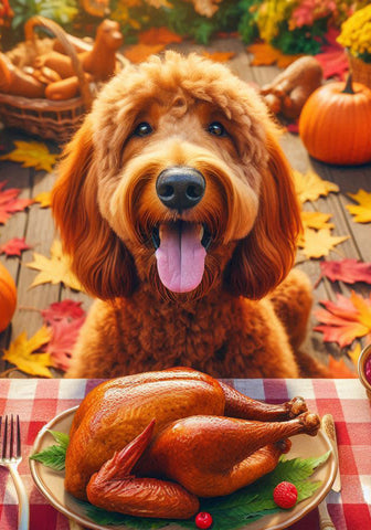 Labradoodle Red -  Best of Breed DCR Thanksgiving Outdoor House and Garden Flag