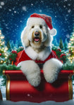 Labradoodle White -  Best of Breed DCR Christmas Outdoor House and Garden Flag