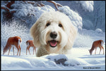 Labradoodle White -   Best of Breed Winter Wonderland Floor Mat Tufted Loop 18" x 27"