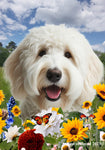 Labradoodle White -   Best of Breed  Summer Fields Outdoor House and Garden Flag