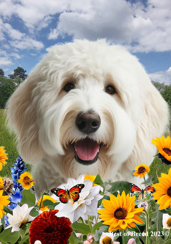 Labradoodle White -   Best of Breed  Summer Fields Outdoor House and Garden Flag