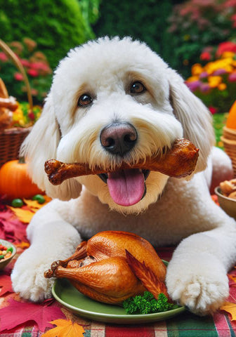 Labradoodle White -  Best of Breed DCR Thanksgiving Outdoor House and Garden Flag