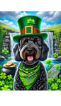 Labradoodle Black -  Best of Breed DCR Saint Patricks Day Day Outdoor House and Garden Flag