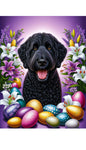 Labradoodle Black -  Best of Breed DCR Easter Holiday    Outdoor House and Garden Flag