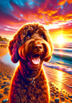 Labradoodle Chocolate -  Best of Breed DCR Summer Sunset Outdoor House and Garden Flag