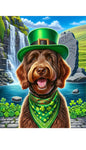 Labradoodle Chocolate -  Best of Breed DCR Saint Patricks Day Day Outdoor House and Garden Flag