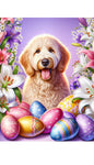 Labradoodle Blonde  -  Best of Breed DCR Easter Holiday    Outdoor House and Garden Flag