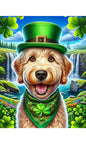 Labradoodle Blonde  -  Best of Breed DCR Saint Patricks Day Day Outdoor House and Garden Flag