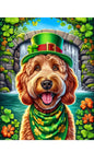 Labradoodle Red -  Best of Breed DCR Saint Patricks Day Day Outdoor House and Garden Flag