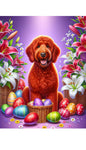 Labradoodle Red -  Best of Breed DCR Easter Holiday    Outdoor House and Garden Flag