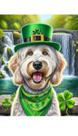 Labradoodle White -  Best of Breed DCR Saint Patricks Day Day Outdoor House and Garden Flag