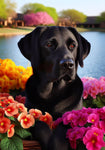 Black Labrador - Best of Breed DCR Spring Outdoor Flag