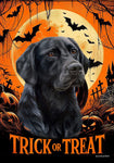 Black Labrador - Best of Breed  Halloween Outdoor House and Garden Flag