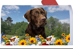 Chocolate Labrador - Best of Breed Summer Flowers Mailbox Cover Hi-Grade Vinyl 6" x 19"