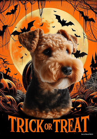 Lakeland Terrier - Best of Breed  Halloween Outdoor House and Garden Flag