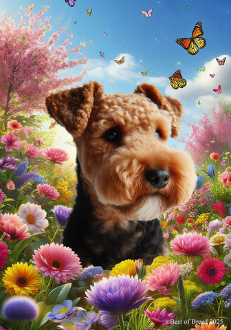 Lakeland Terrier - Best of Breed  Spring Butterflies Outdoor House and Garden Flag