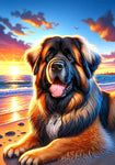 Leonberger -  Best of Breed DCR Summer Sunset Outdoor House and Garden Flag
