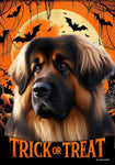 Leonberger -  Best of Breed  Halloween Outdoor House and Garden Flag