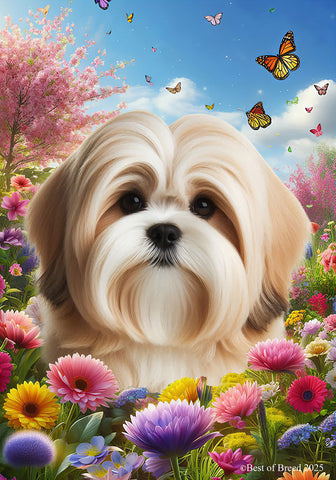 Lhasa Apso Cream/Sable - Best of Breed  Spring Butterflies Outdoor House and Garden Flag