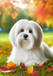 Lhasa Apso White -  Best of Breed DCR Falling Leaves Outdoor Flag