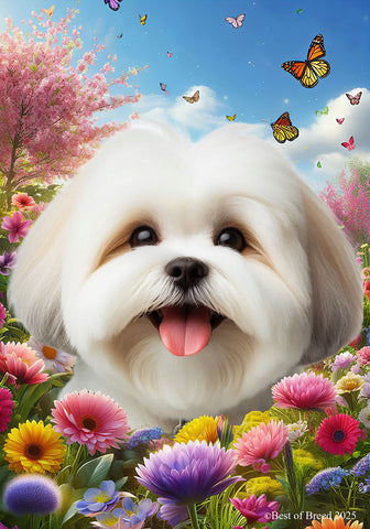 Lhasa Apso White - Best of Breed  Spring Butterflies Outdoor House and Garden Flag