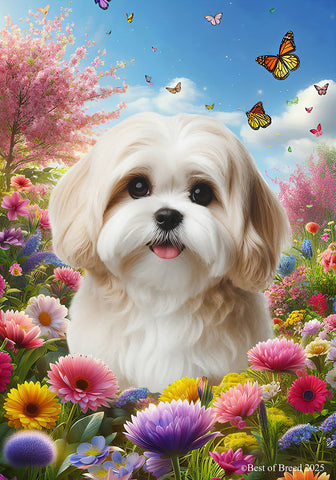 Lhasa Apso Cream - Best of Breed  Spring Butterflies Outdoor House and Garden Flag